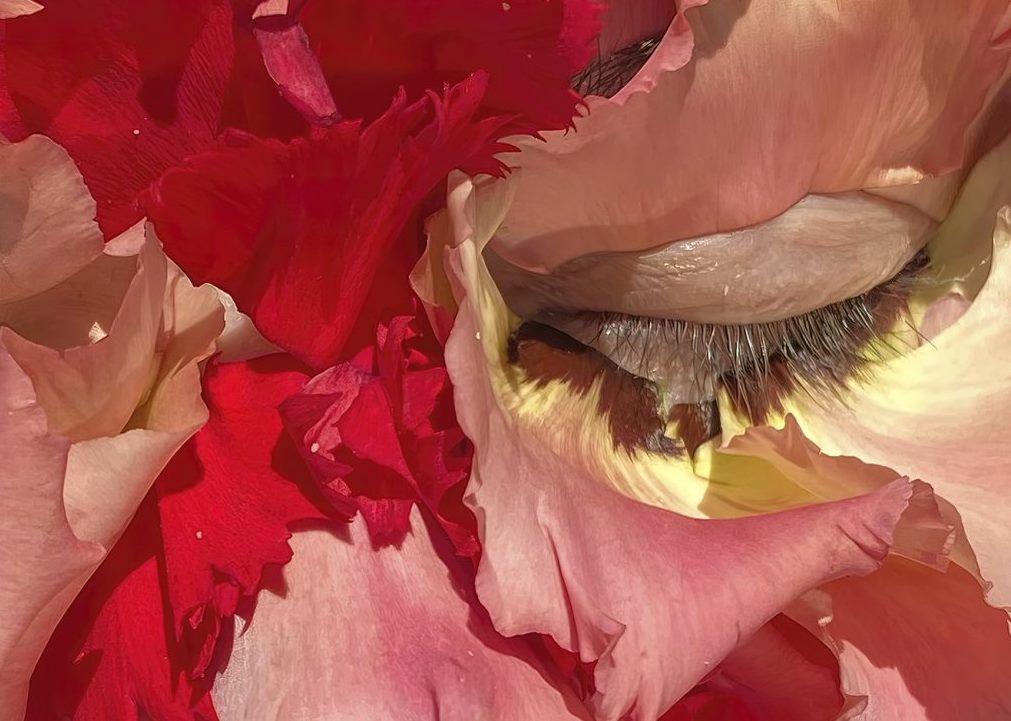 HSE Art and Design School to Present Its Programme at Ars Electronica Festival Illustration for news: HSE Art and Design School to Present Its Programme at Ars Electronica Festival