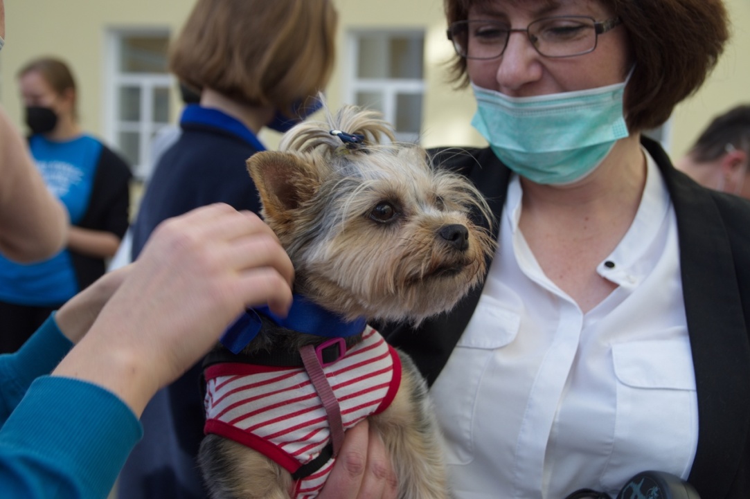 Social Adaptation, the Secrets of Communication, and Animal Therapy: Psychological Welcome Week Comes to a Close Illustration for news: Social Adaptation, the Secrets of Communication, and Animal Therapy: Psychological Welcome Week Comes to a Close