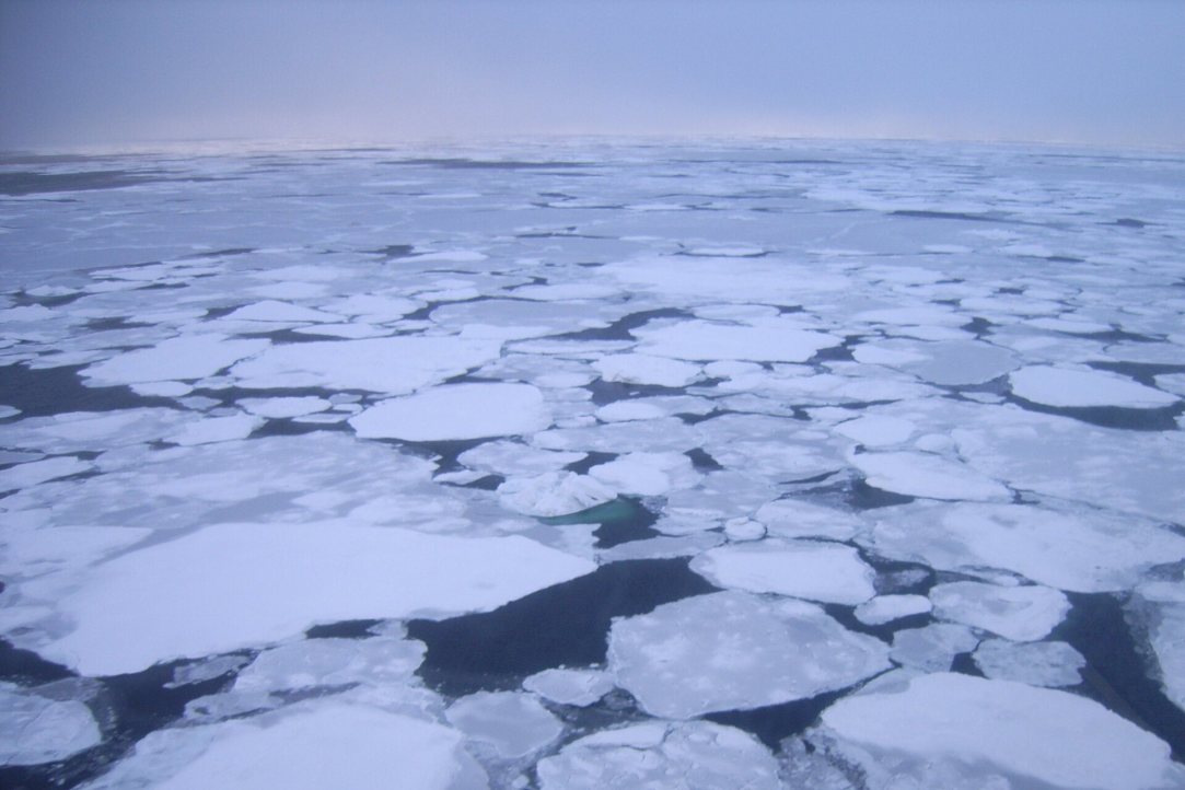 Salt Eats Ice: Researchers Name the Reasons Behind Underwater Permafrost Vulnerability Illustration for news: Salt Eats Ice: Researchers Name the Reasons Behind Underwater Permafrost Vulnerability