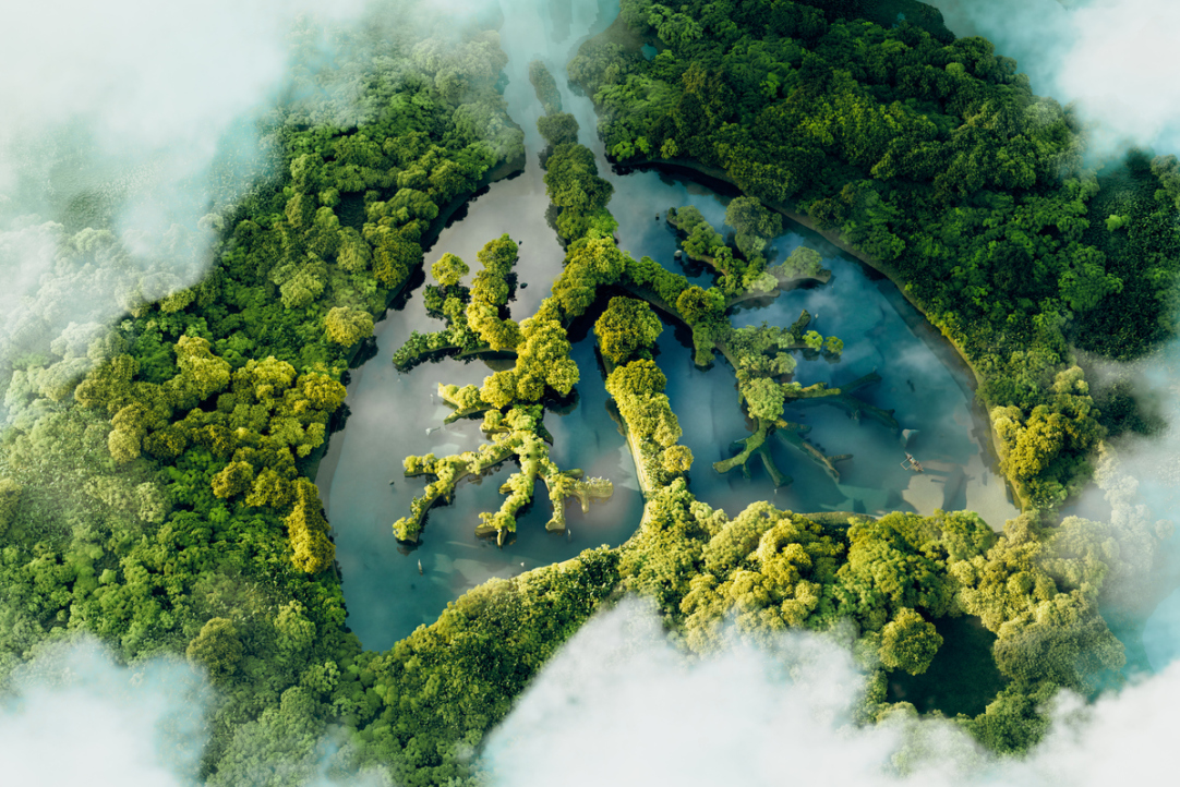 HSE University to Launch New Carbon Test Site Illustration for news: HSE University to Launch New Carbon Test Site