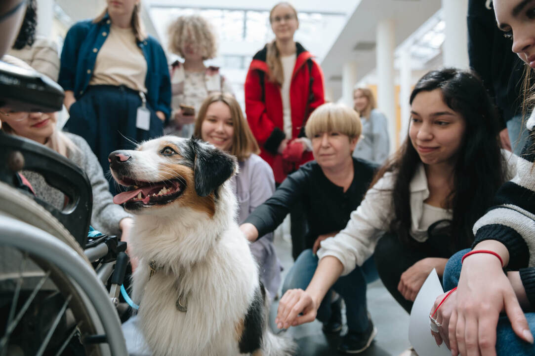 Mental Health Spring at HSE University: Mafia, Therapy Dogs, and Complete Relaxation Illustration for news: Mental Health Spring at HSE University: Mafia, Therapy Dogs, and Complete Relaxation