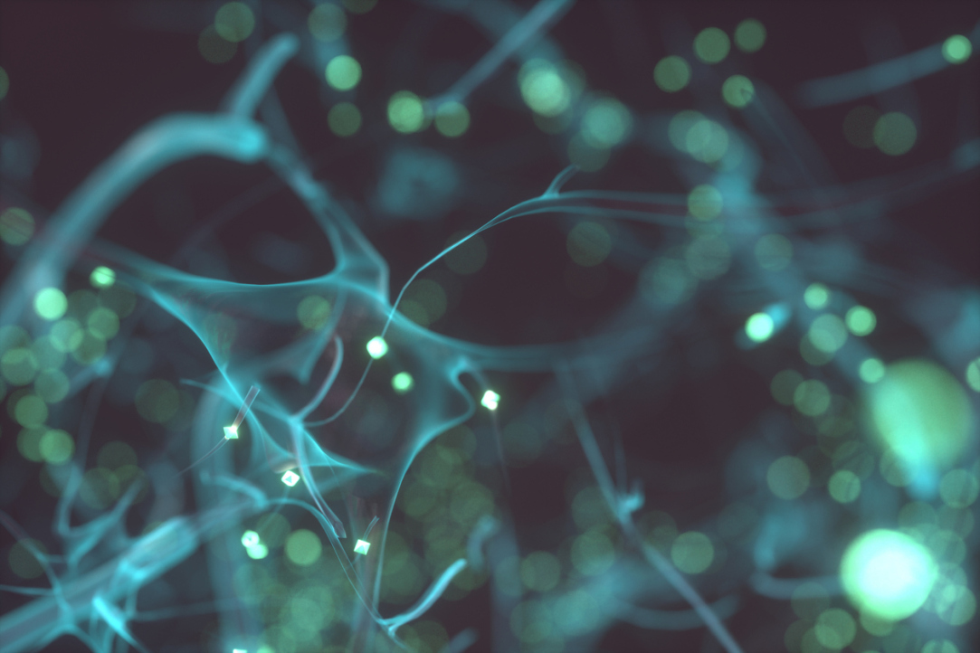 Mathematicians Reveal the Mechanism behind Neuron Synchronisation: Hyperchaos Illustration for news: Mathematicians Reveal the Mechanism behind Neuron Synchronisation: Hyperchaos